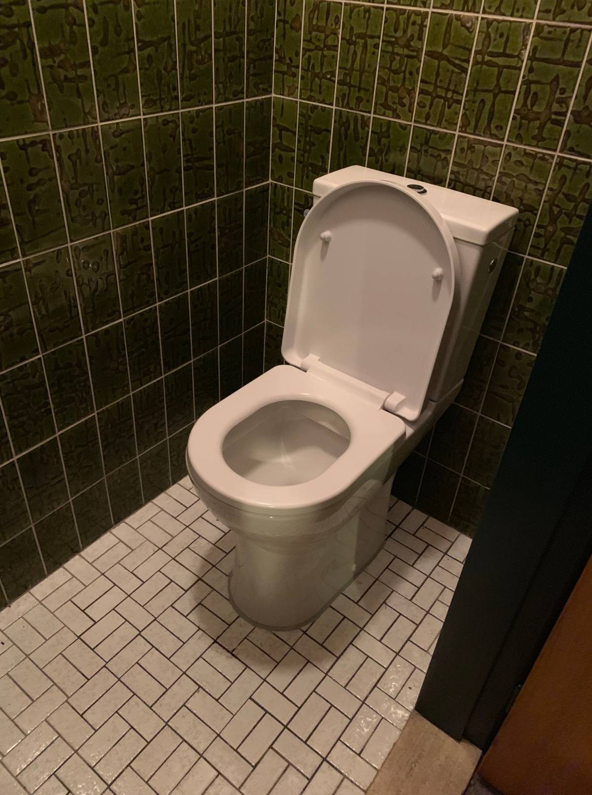 verhoogd toilet